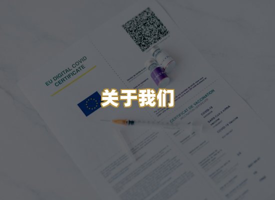 关于我们